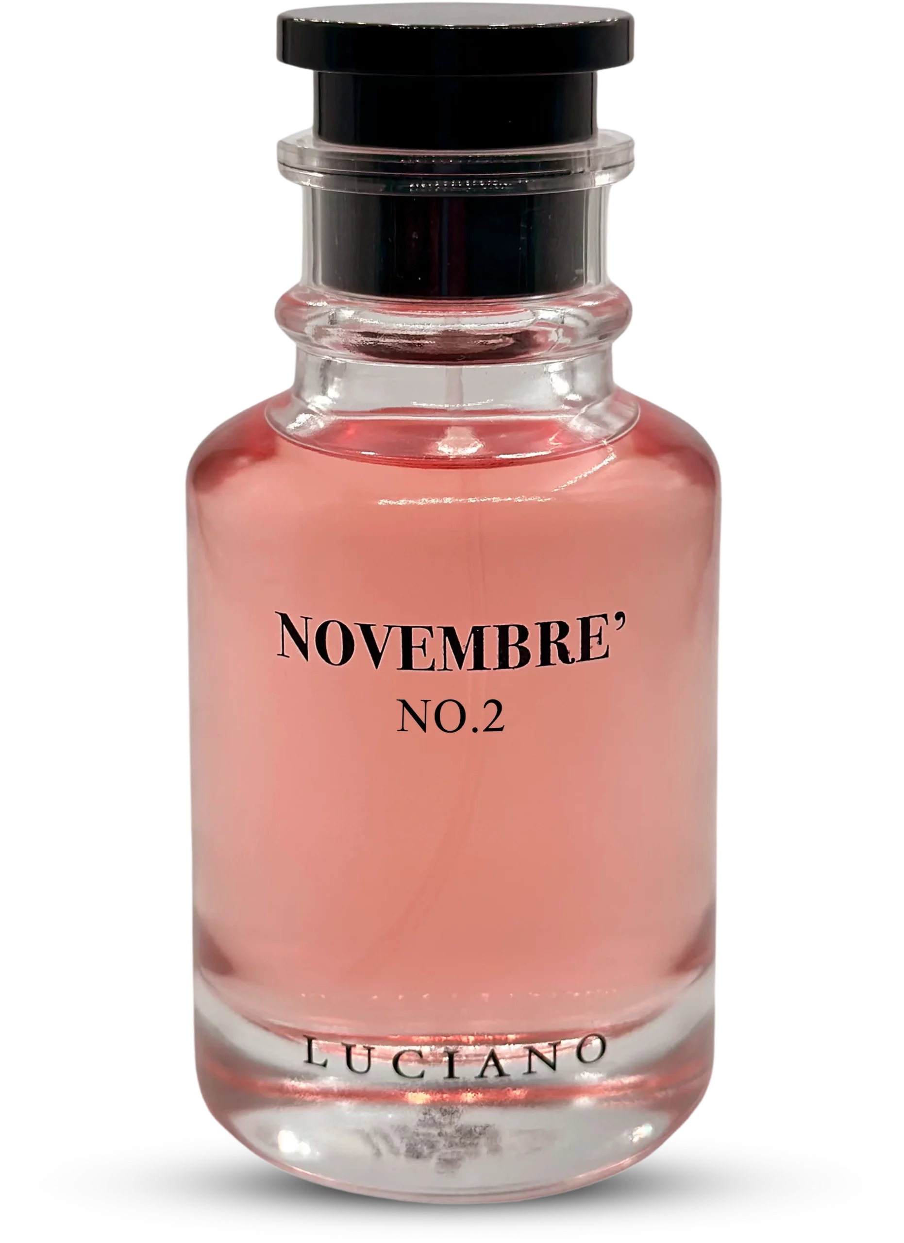 no2.png לוציאנו נובמבר מס' 2 – תמונה 1