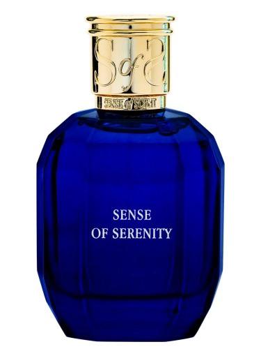 11109.jpg אקספלורר יור סנסס - סנס אוף סנס 100 מ"ל Amber Mayfair Sense of Scent 100 ML E.D.P – תמונה 1