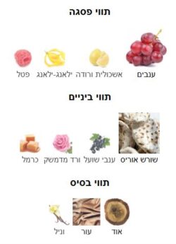 ⁦דראזד רוג' נואר יוניסקס 80 מ"ל אקסטריט דה פרפיום - DRAZAD LONDON ROUGE NOIR⁩ – תמונה ⁦2⁩