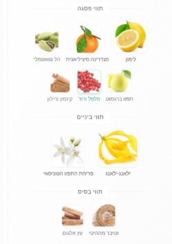 ⁦פגרנס וורלד בקראקקאט אקווה אייבום א.ד.פ 100 מ"ל- FRAGRANCE WORLD BARAKKAT AQUA AEVUM EDP 100 ML⁩ – תמונה ⁦2⁩