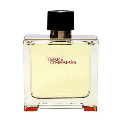 607.jpg טר דה הרמס 100 מ"ל א.ד.ט - Hermes Terre D'hermes e.d.t 100m"l – תמונה 1