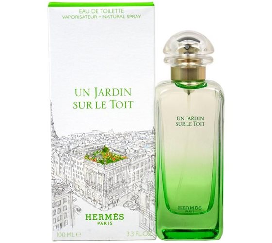 6606.jpg Hermes Un Jardin Sur Le Toit e.d.t 100 ml - הרמס און ג'רדין סור לה טויט א.ד.ט 100 מ"ל – תמונה 1