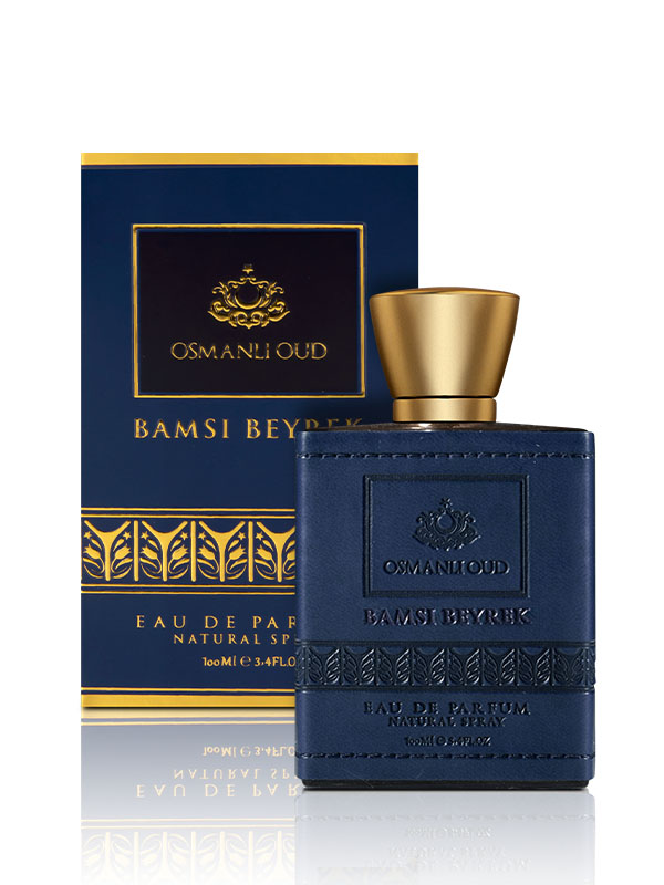 Bamsi Beyrek