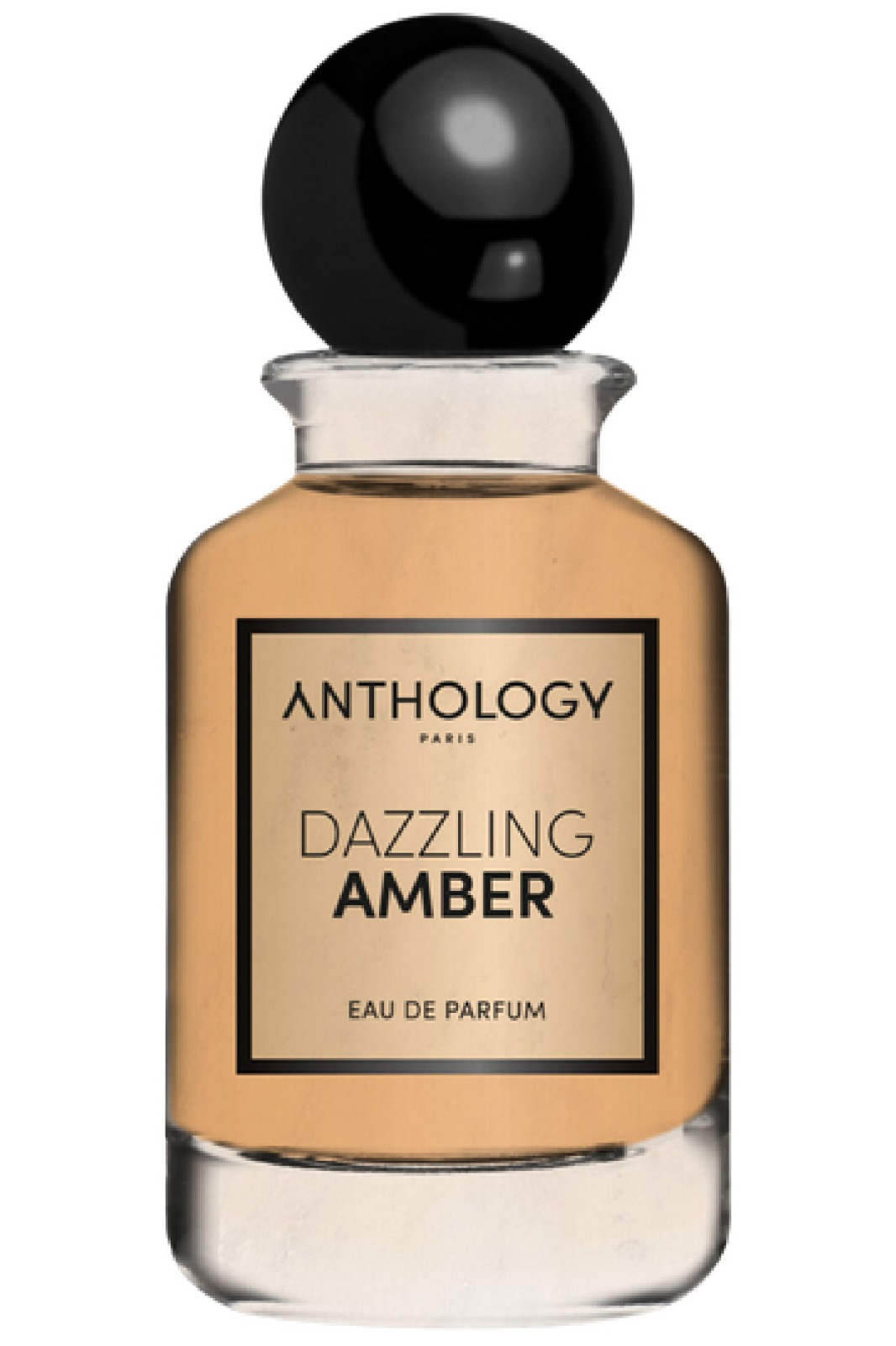 ANTHOLOGY Dazzling Amber