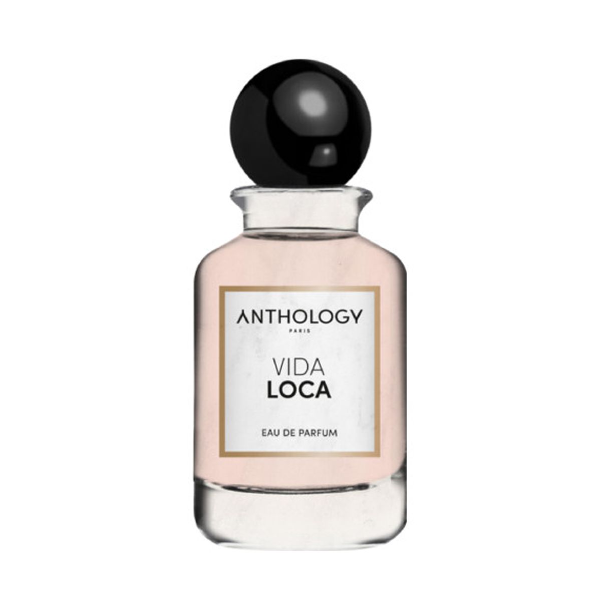 ANTHOLOGY Vida Loca